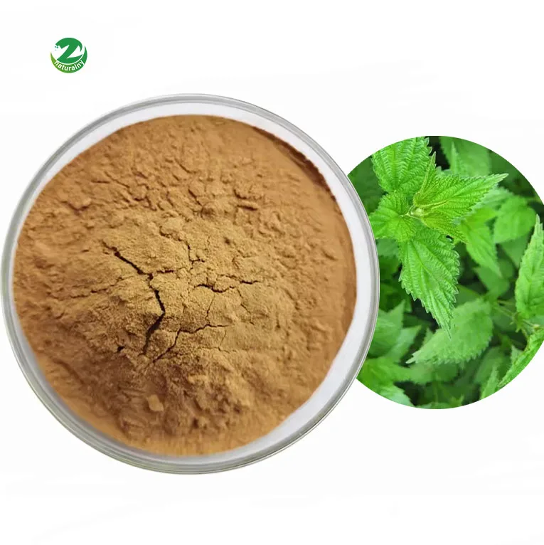 Заводская поставка 100% чистый натуральный высококачественный порошок для корней Urtica Dioica экстракта крапивы