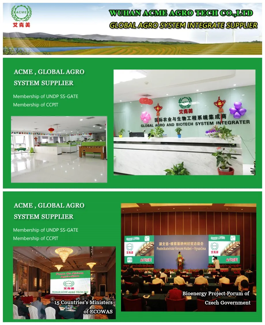 company overview 1