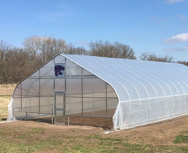 China Cheap Plastic Film Cover Single-Span Greenhouse PE Film Cover Green House Metal Frame