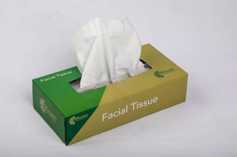 Greenisland hygiene facial tissue soft absorting box tissue OEM good quality