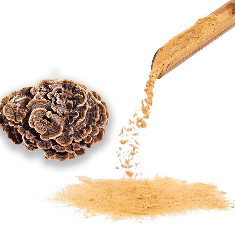 Supplement Capsules Powder brown-yellow turkey tail mushroom Extract powder for Food Wine Personal Care Healthcare