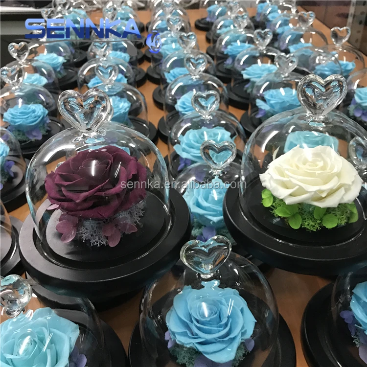 Freeze Dried Rose Petals perfectly preserved flower in mini glass dome