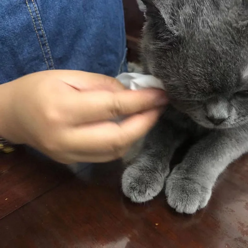 Wholesale Quality Dog Cat Eyes Ears Cleaning Pet Wet Wipes Non-stimulating Formula