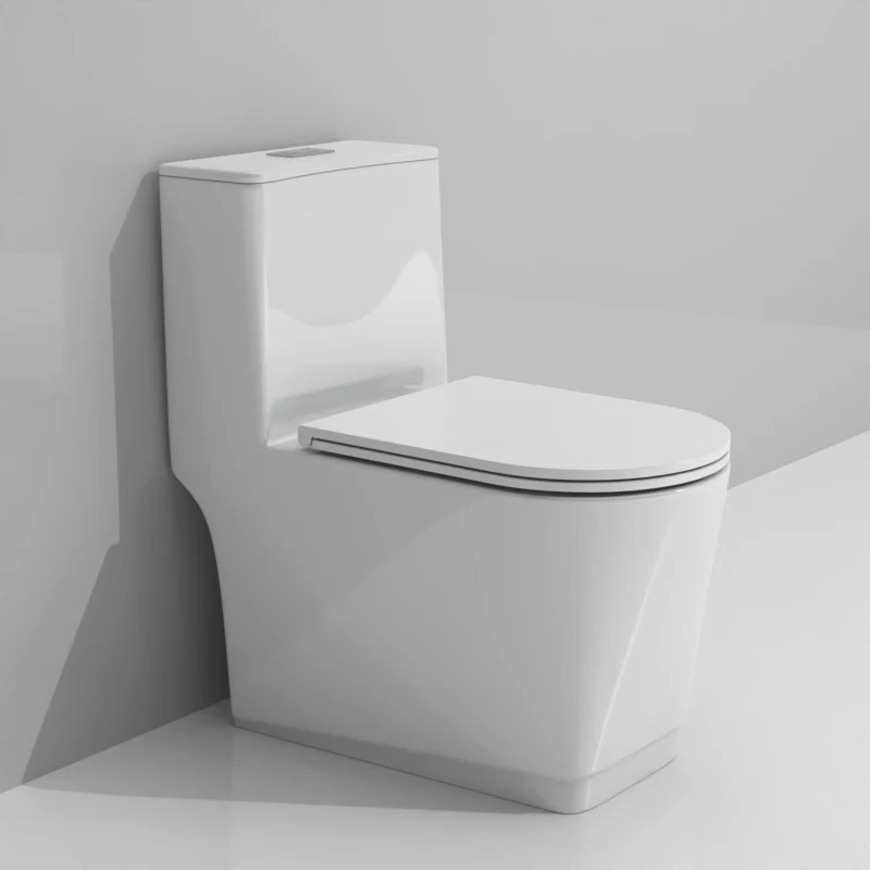 China Supplier Top Quality Squat Toilet Seats Toilet Pot Set One Piece Toilet
