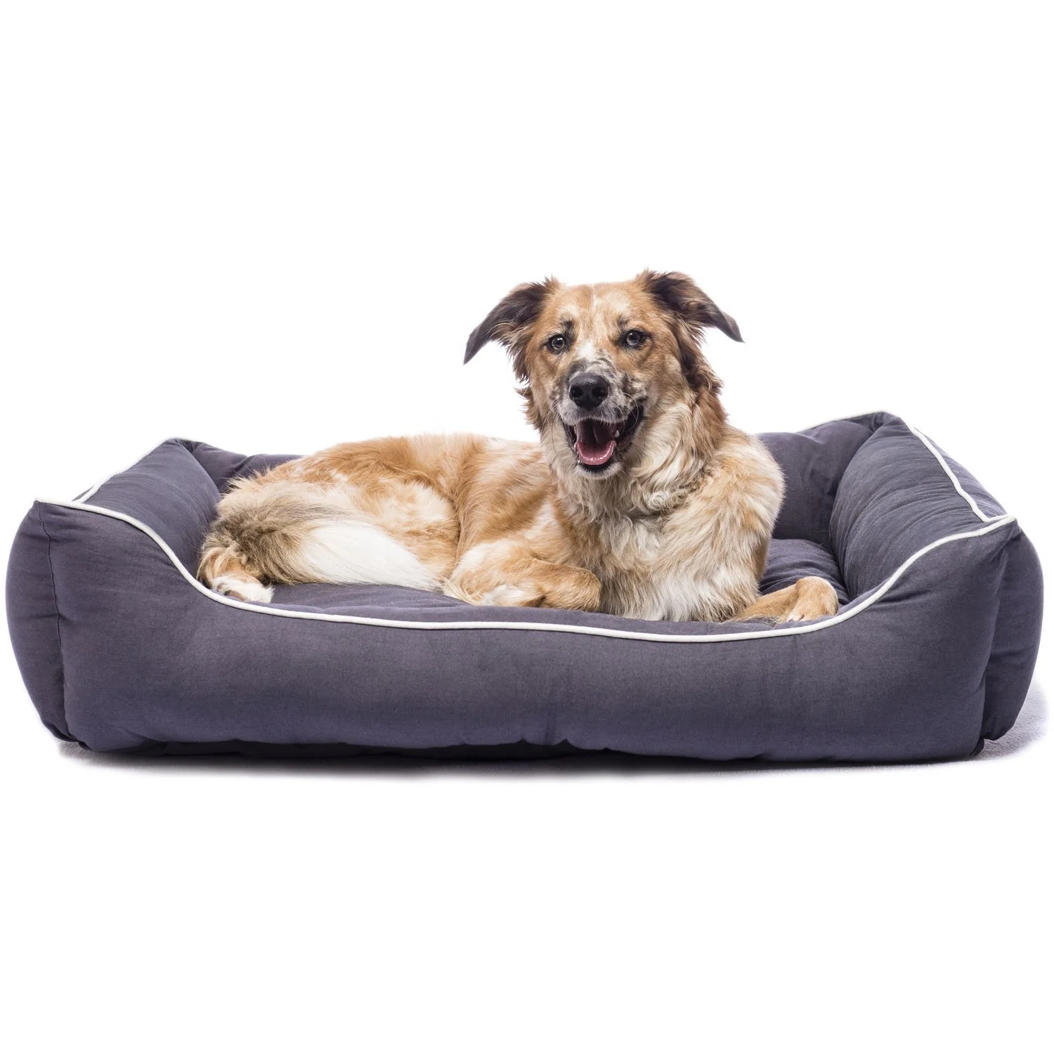 Wholesale OEM New Cat Dog Bed Luxury Waterproof Canvas Cat Wall Bed Sofa Memory Foam Pet Cat Dog Bed