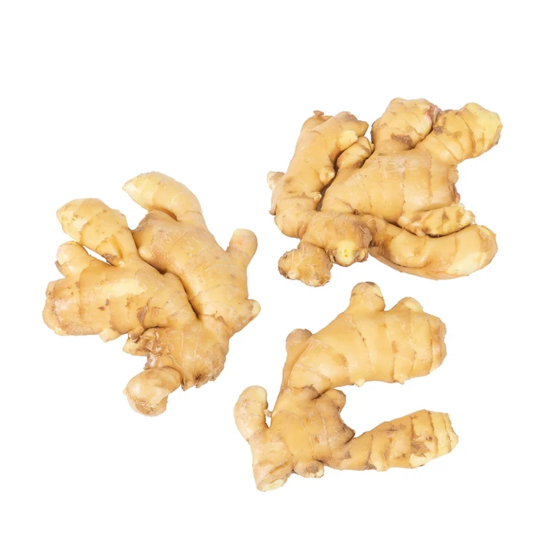 Available In Stock From Chinese For Sale At Good Prices Buy Newest Crop Fresh Ginger Vegetable