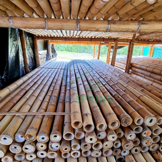 Vietnam Supplier Wholesale Natural Material Bamboo Poles Bamboo Stake  For Gardening Building
