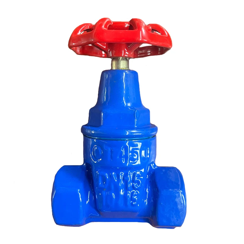 High Quality DN15 PN16 Ductile Iron Threaded Gate Valve Concealed Soft Seal Gate Valve