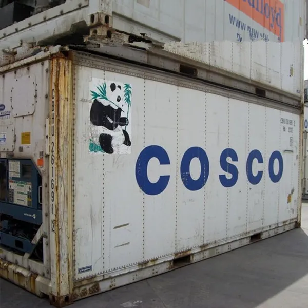10 20 40 45 ft High Thermo King Refrigerator Freezer Cold Room Container Cube Reefer Container Price for sale