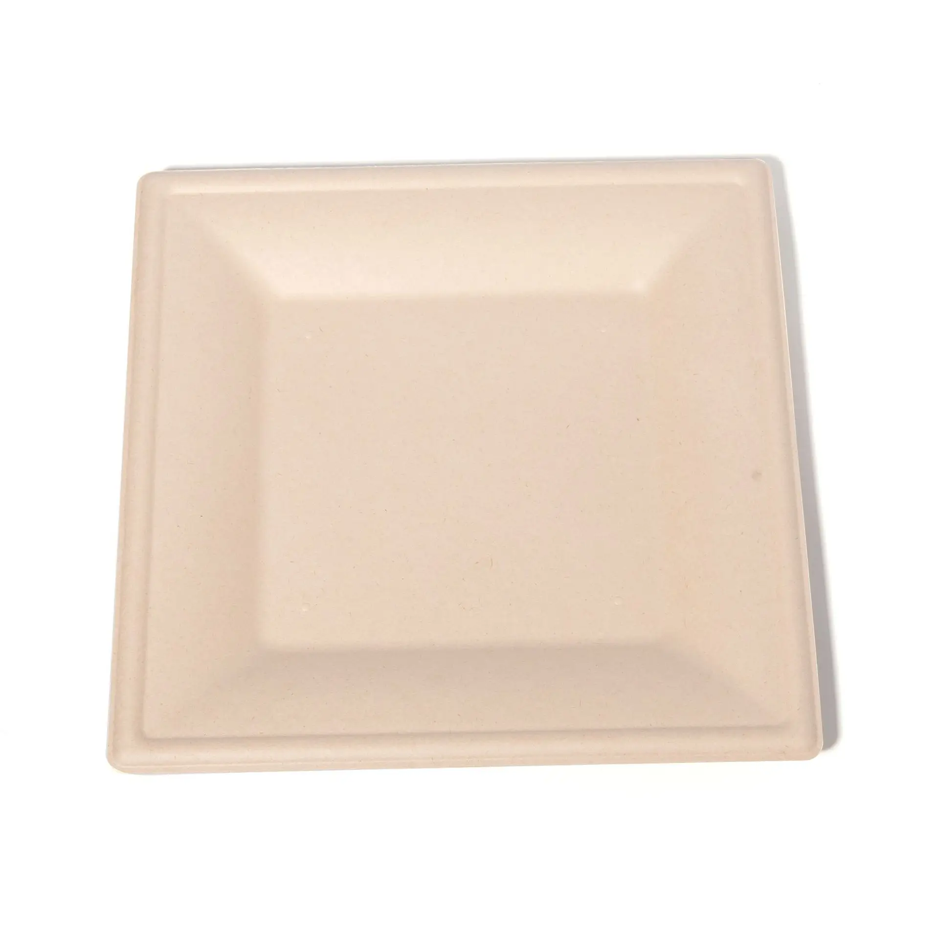 10 Inch White square Plate Restaurant Plates Sugarcane Flat Bagasse Disposable Sugarcane Food  square Plate