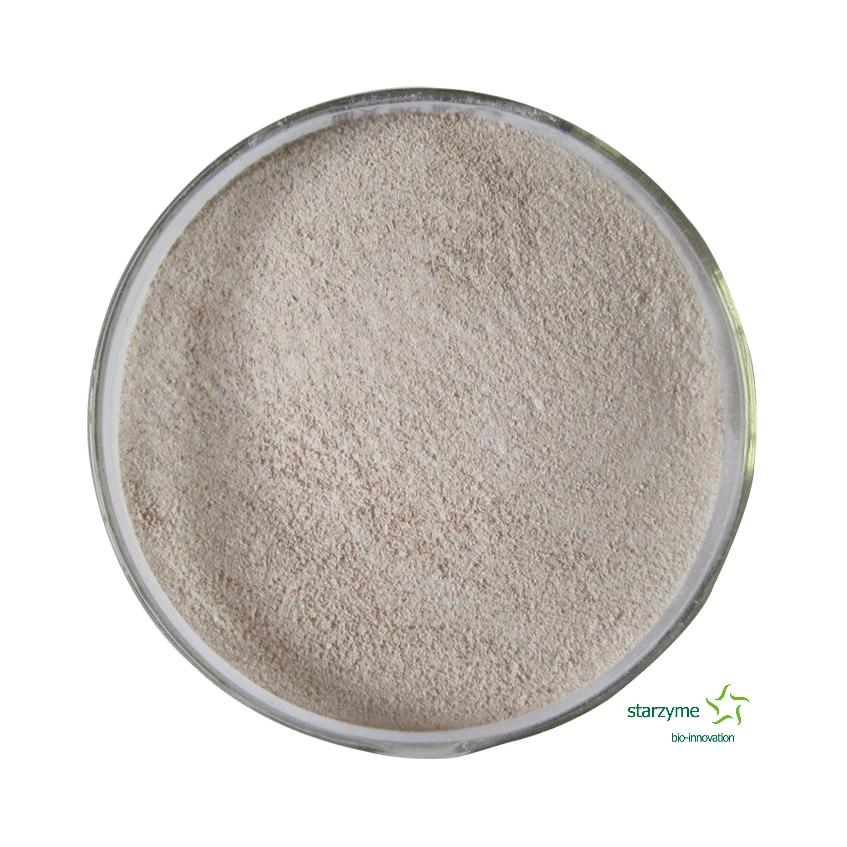 High Colony Content Bacillus Subtilis Feed Grade Powder Probiotics