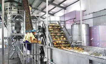 Best price -  Best canned yellow peach with high quality from Vietnam (Whatsapp: +84975262928, Helen)