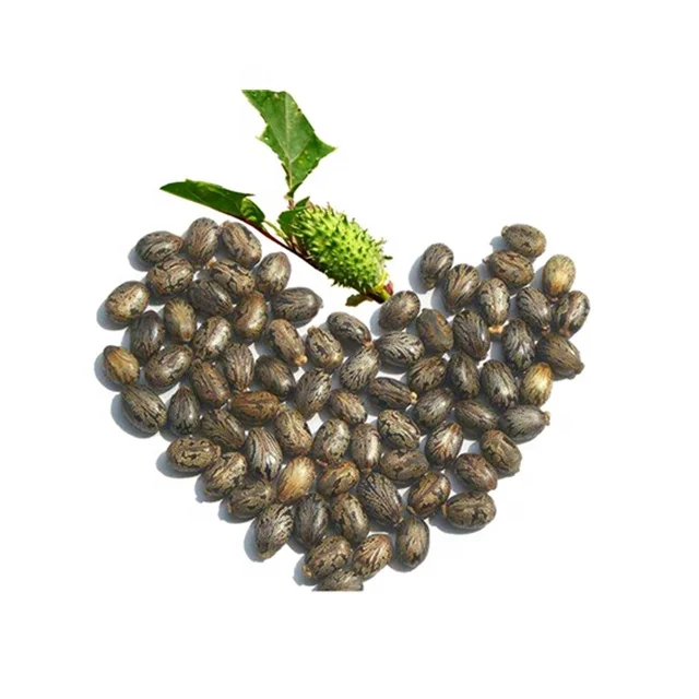 Пищевое касторовое масло, CAS 8001-79-4, Ricinus Oil