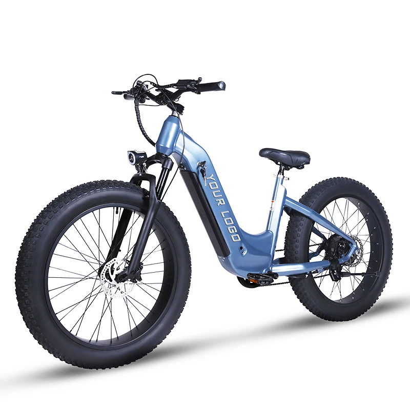 fat tire electric mountain bike 26 inch bicycle for men 750w 1000w Ebike 48v electric other bike sports bicycle cheap bicycle