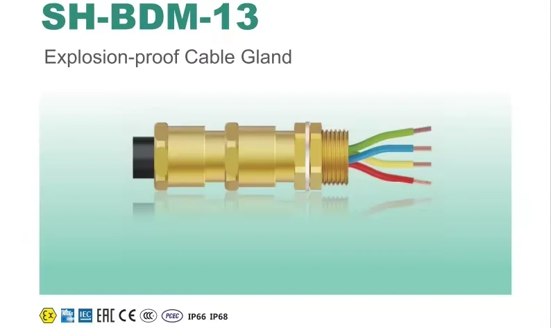 BDM-13(4).png