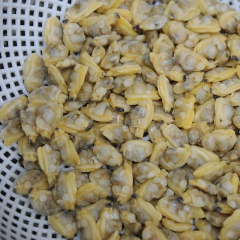 
Frozen Shellfish Wholesaler Export All Specifications Clean Cooked Baby Clam 