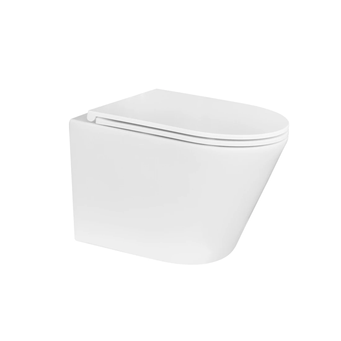 Wall-hung Toilet Style Washdown Ceramic Wholesale Customization European Water Saving Wall Mounted Dual Flush 3/4.5L Modern