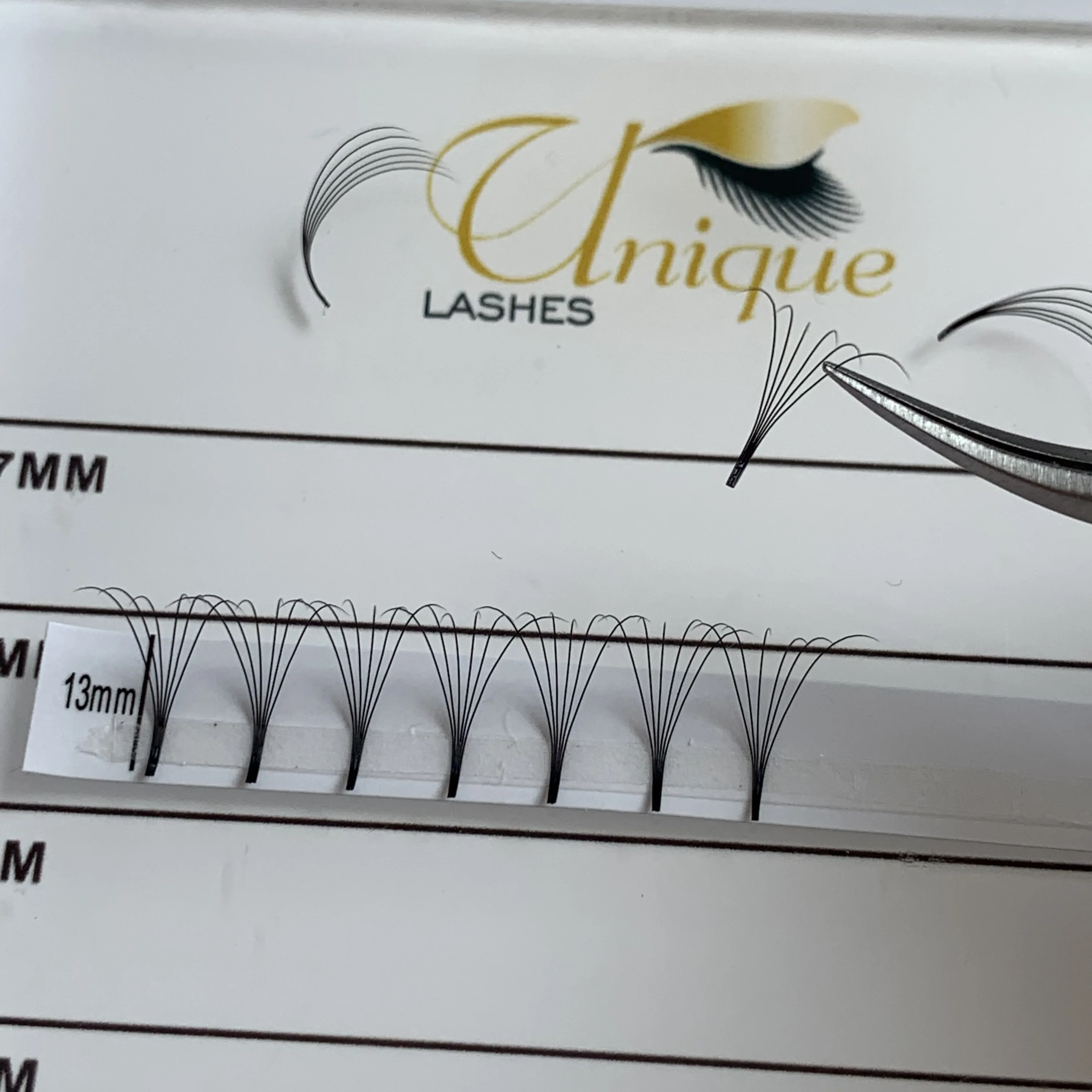 chuidchlongs yte.JPG