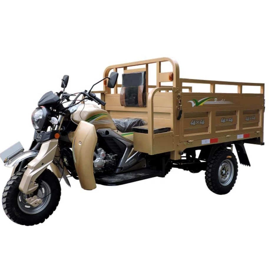 Low price gasoline engine refrigerated 200cc gas freight tricycle motorcycle