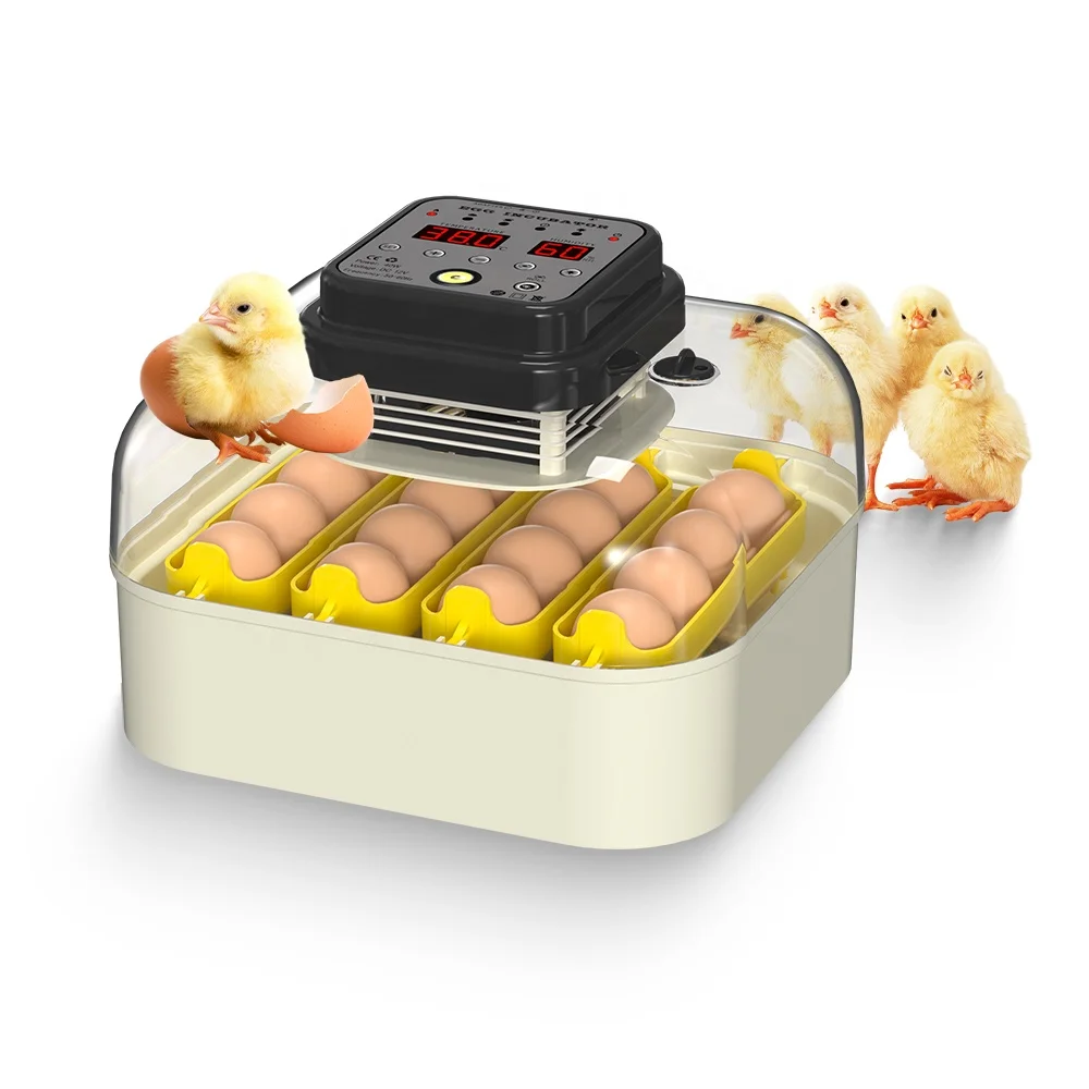Hot sale new model 30 eggs smart automatic clear window chicken poultry egg incubators sale