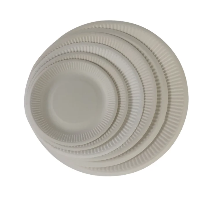 Посуда из тростника сахарного тростника багасса сушильщика плиты лоток погрузчик оптовая продажа