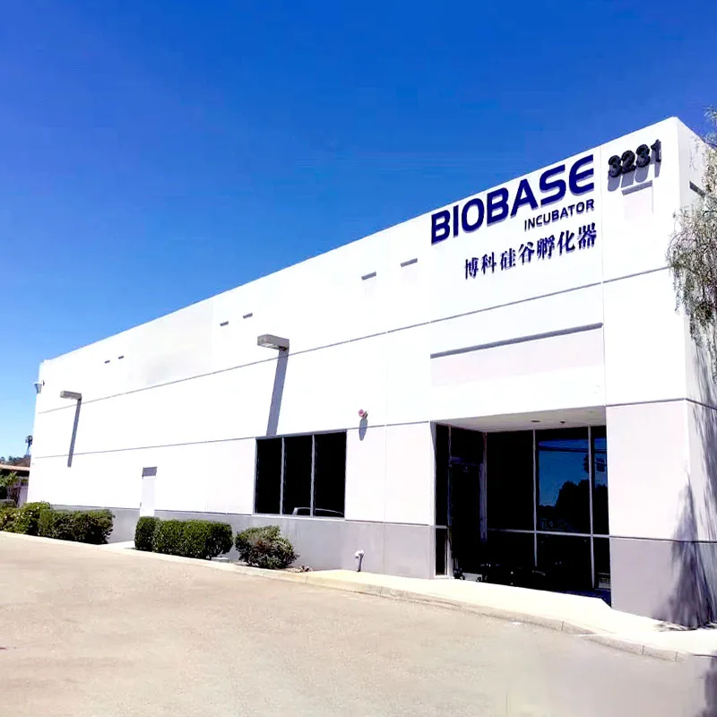Biobase Manufacturer Ozone UV Sterilization Cabinet O3 90L Automatic Control Sterilization Equipment for lab