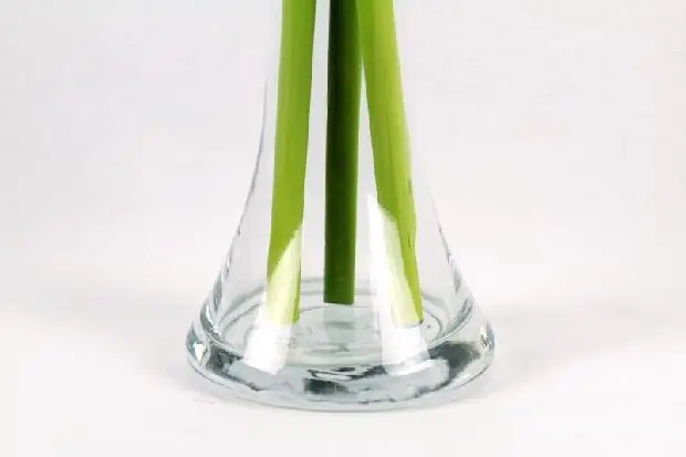 High Quality Transparent Glass Conic Flower Vase conical Wedding Guide Table Vase goblet hydroponic vase for Wedding Decoration