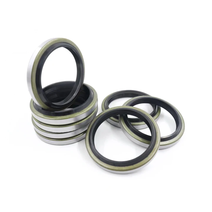 DKB Rubber NBR FKM PU Oil seal skeleton Metal dust lip machine rotating shaft oil seal GA oil seal