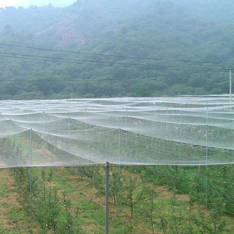 Anti Insect Net 5 Years Usage 20X10 Mesh Anti Aphid Net Greenhouse 50mesh Anti Insect Proof Net