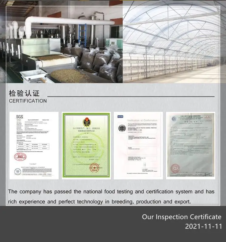 Wholesale High Protein Pet Food Dried Mealworms Freeze yellow breadworm