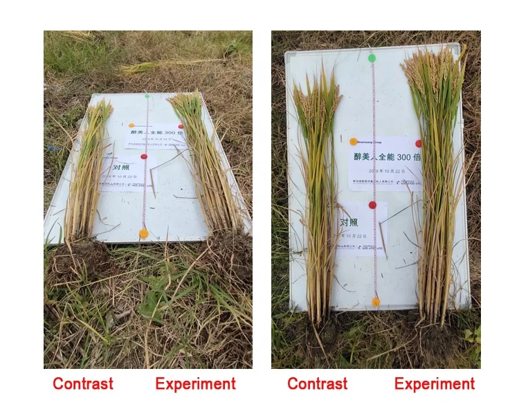 
Natural plant source amino acid organic fertilizer liquid of Amino Acid 