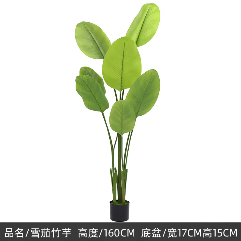cactus mini big ornamental banana potted grass snake pots weed small large plastic plants artificial  home decor