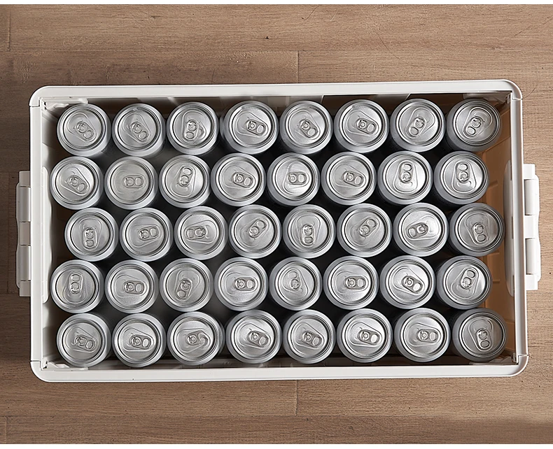 plastic lidded box (10)