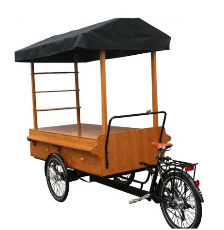 Adult Cargo Electric Coffee Vending Trike Food Cart Euro 3 Wheel Adult Coffee Bike with CE Certification