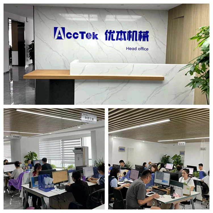 acctek laser 6090_.png