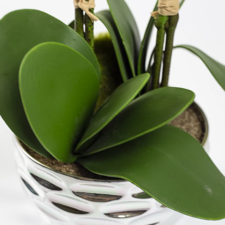 Home decorative yellow double branch phalaenopsis orchid artificial flower bonsai