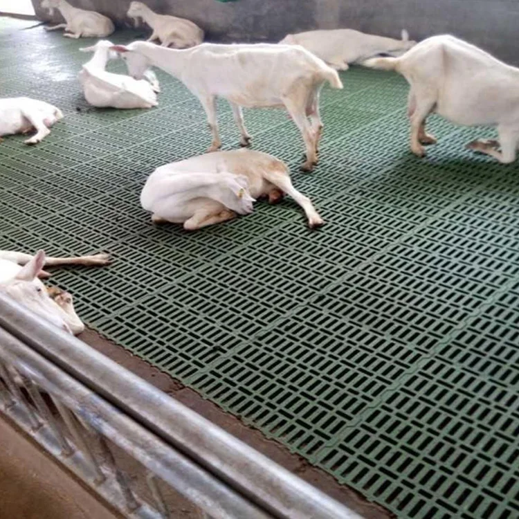 Goat Sheep Farming Plastic Slat Floor