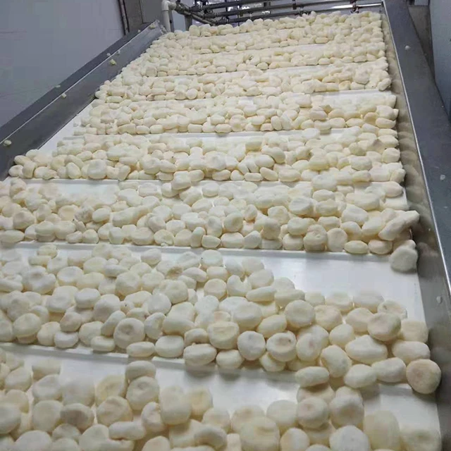 IQF Peeled water chestnut wholes frozen water chestnut for Wholesale with Competitive Price