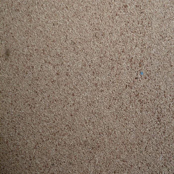 High hatching rate rtemia cysts