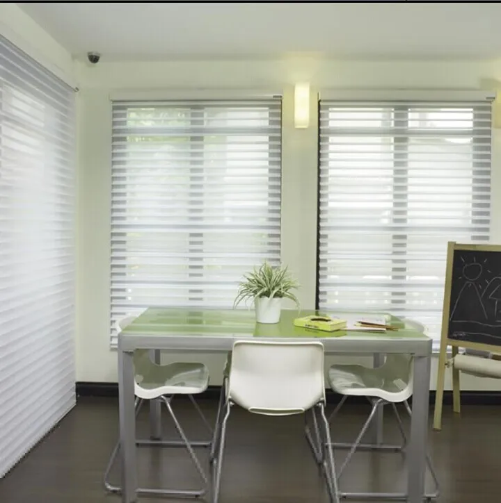 Elegant light  manual & motorized shades/Triple blinds Essential Room blackout roller blinds Darkening Dual Shade zebra blinds