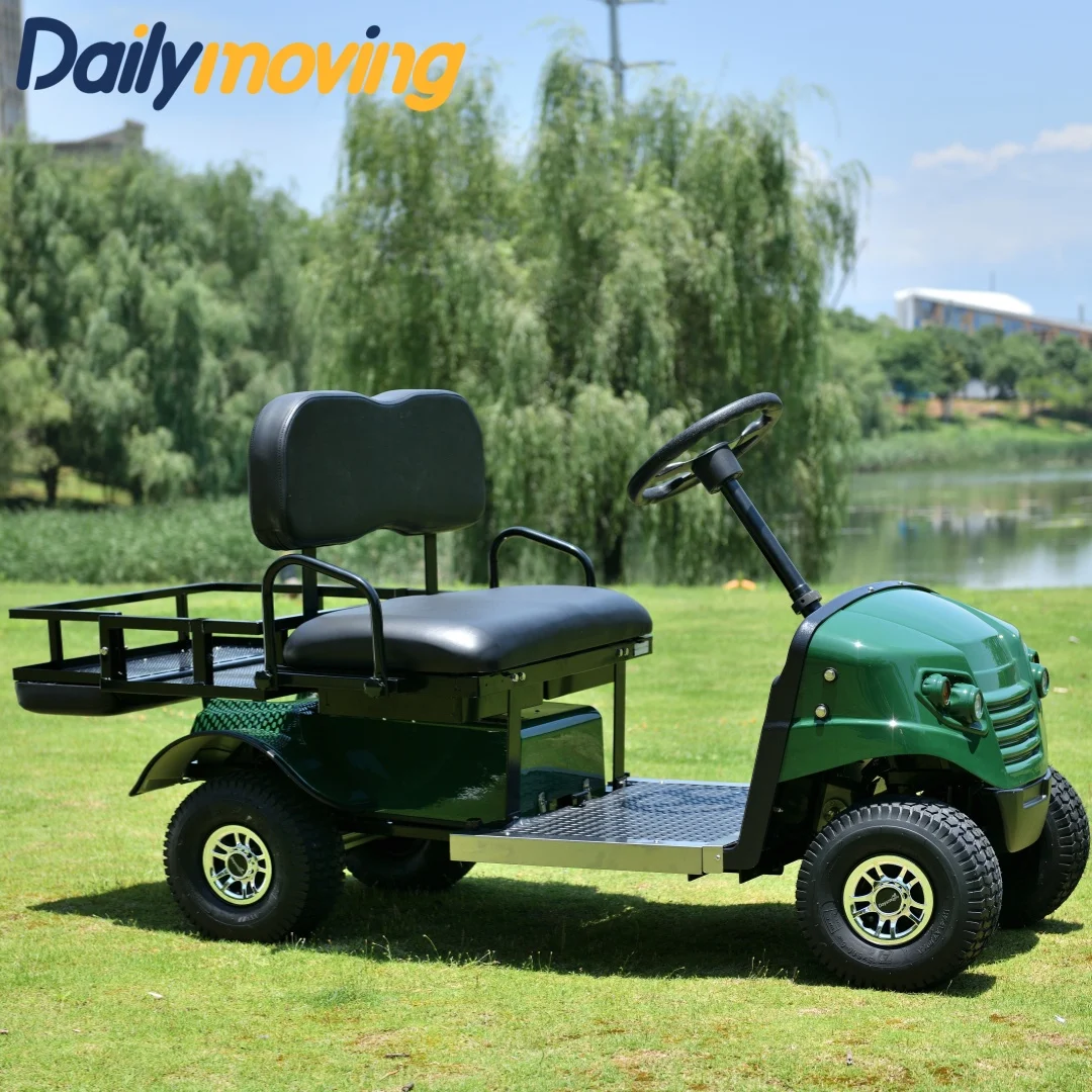 2024 New Club Car Passenger Vehicle Lead Acid Battery Charger 2 Seater Mini Golf Cart