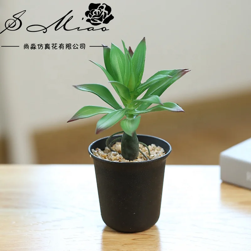 Factory Direct Lifelike Home Garden  Decoration Artificial Succulent Plants Bonsai