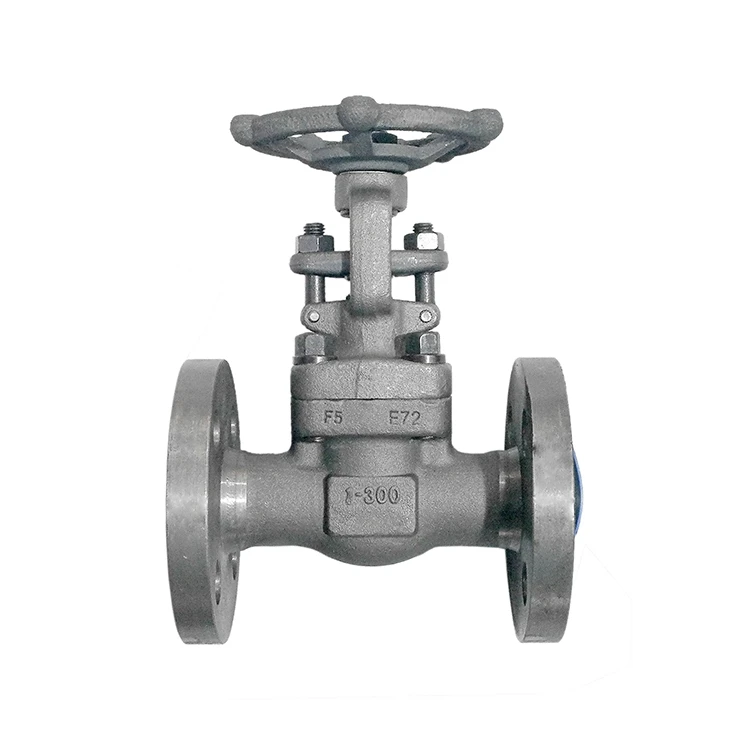 
Monolithic forged flange gate valve flange 1 inch gate valve supplier 
