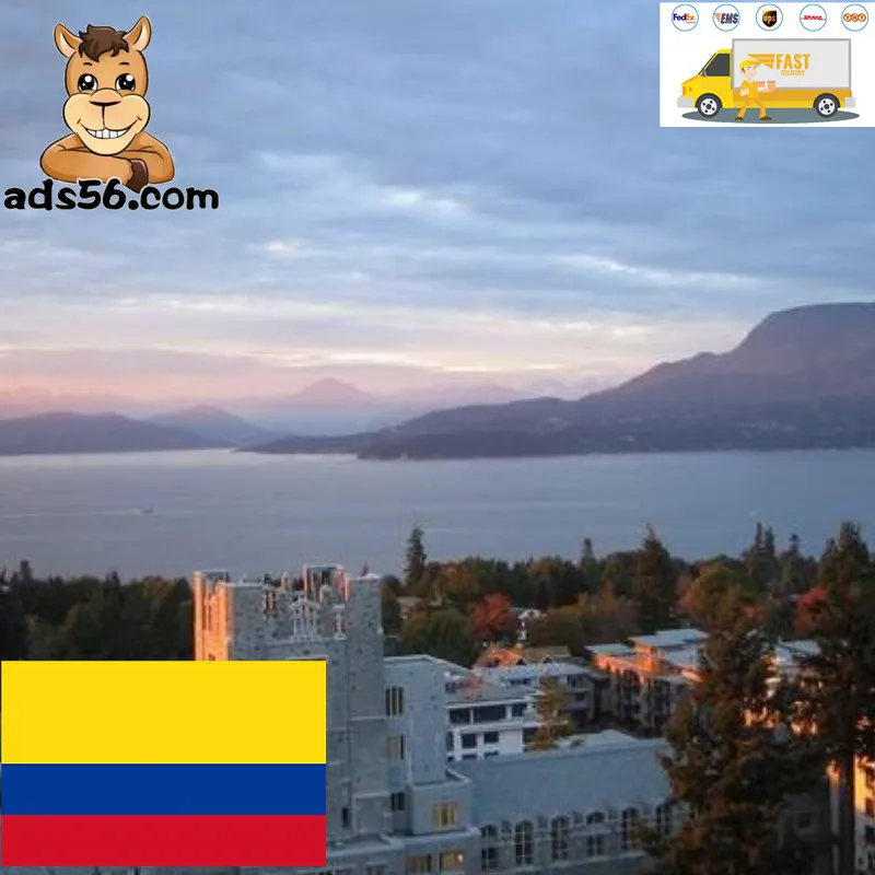 Cheap and fast express delivery to Qatar Azerbaijan freight forwarder with door to door