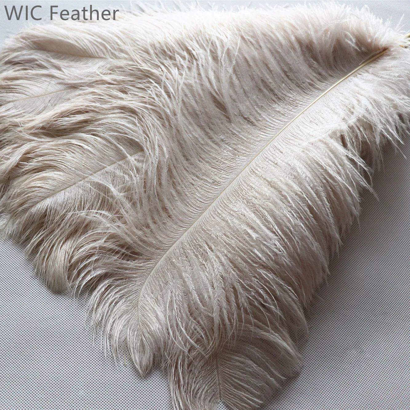 Carnival Costume Decoration 15-45cm Dyed Colorful Ostrich Feathers for Festival Samba Garments