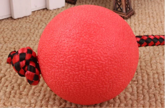 Cheap dog teeth clean Rubber Pet toys Dog chew toys for dog