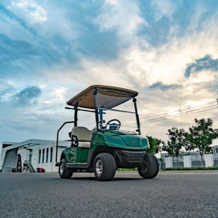 Leroad cheap price custom 2 Seat electric golf cart