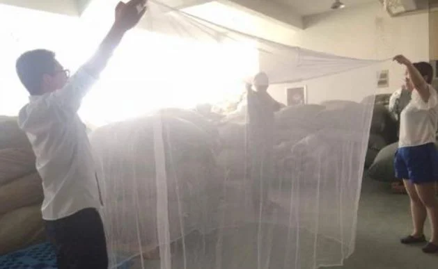 Fine Mesh Luxury Mosquito Net Large Square Mesh, Suitable for Single to King Size Beds, Suitable for Home and Travel