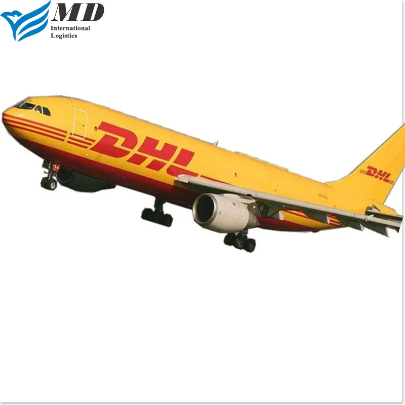 International Logistics  Air freight DDP Shipping Agent freight Forwarder China To Worldwide Dropshipping Warehouse Service