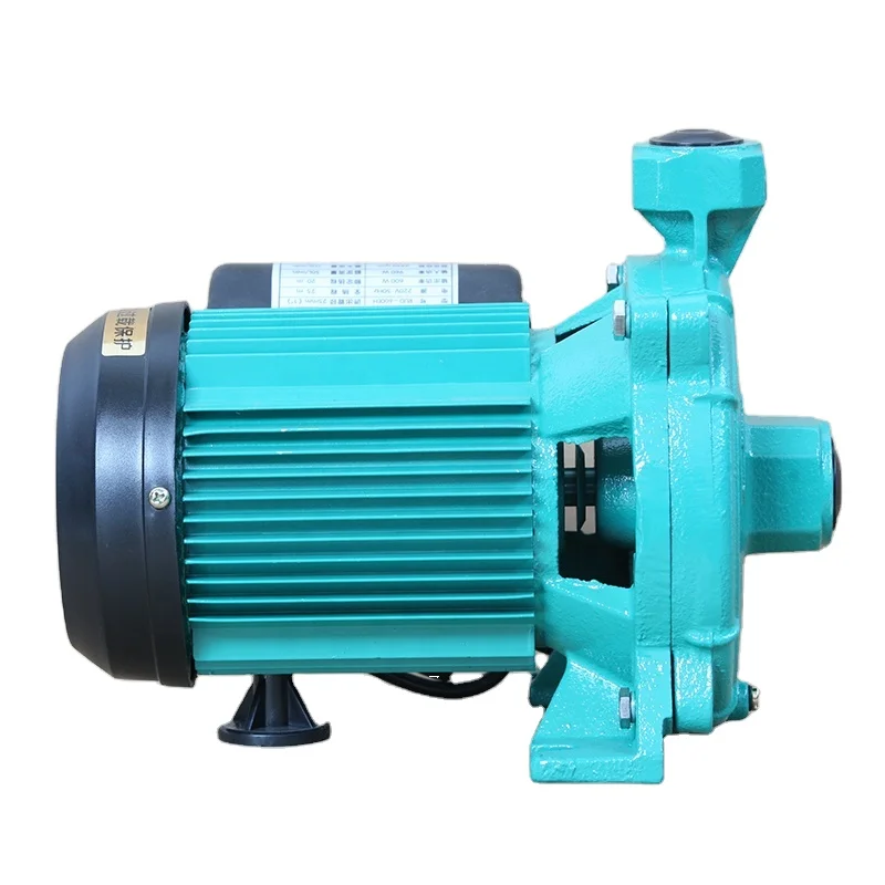 
LUDING Rud-600Eh Electrical Hot And Cold Water Centrifugal Pump For Household 